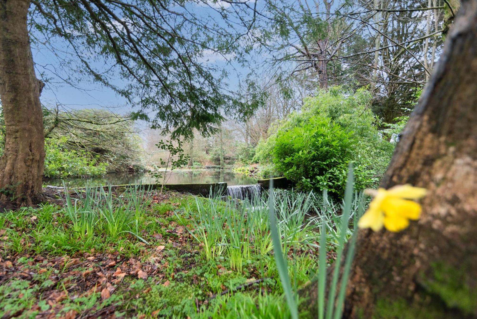 Goytre Hall Abergavenny Kültér fotó